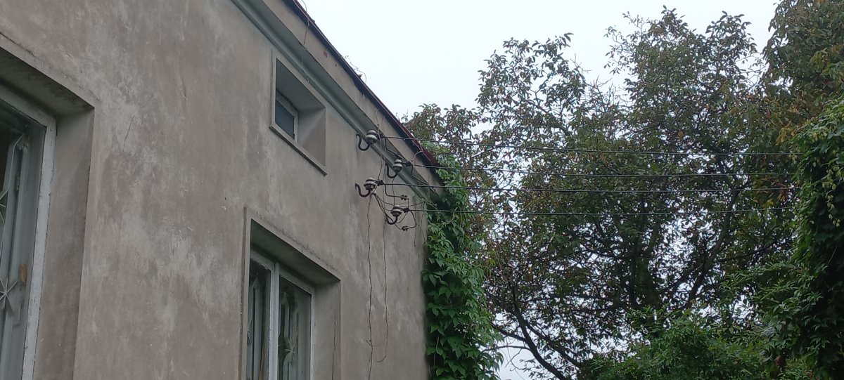 Zdjęcie 8