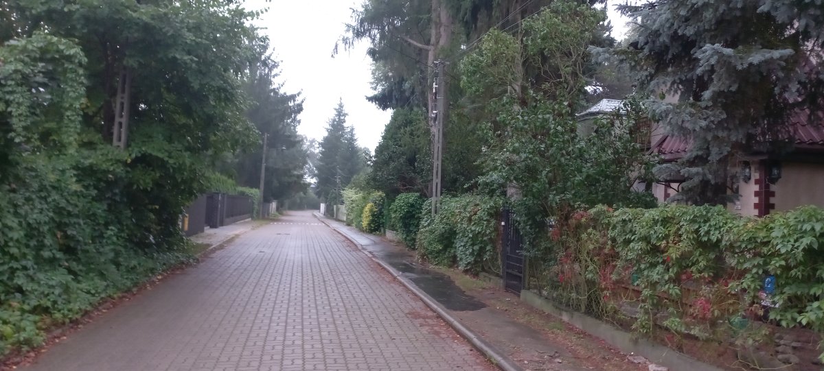 Zdjęcie 9