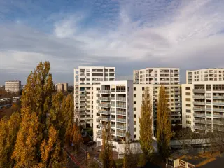Zdjęcie 3