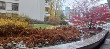 Zdjęcie 6