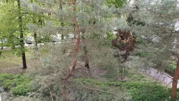 Zdjęcie 4