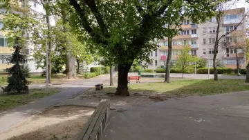 Zdjęcie 8