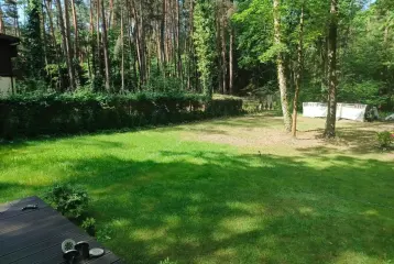 Zdjęcie 10