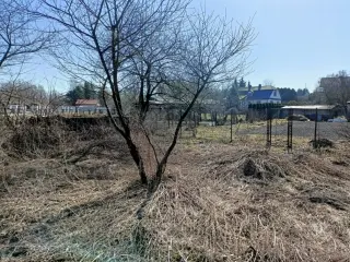 Zdjęcie 10