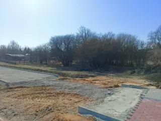 Zdjęcie 12