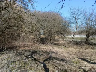 Zdjęcie 6