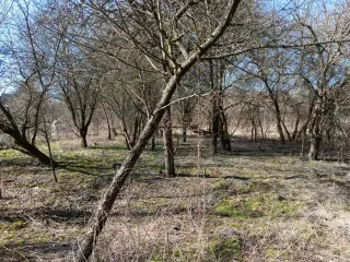 Zdjęcie 7