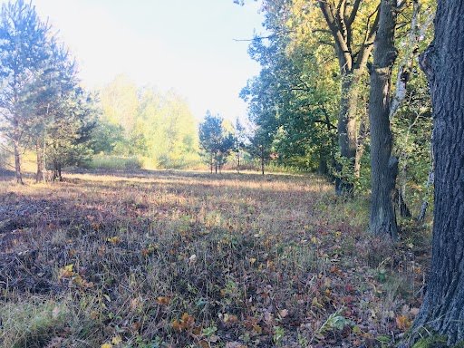 Działka budowlana