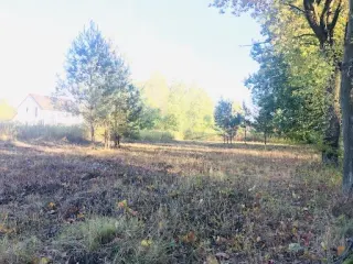 Zdjęcie 2