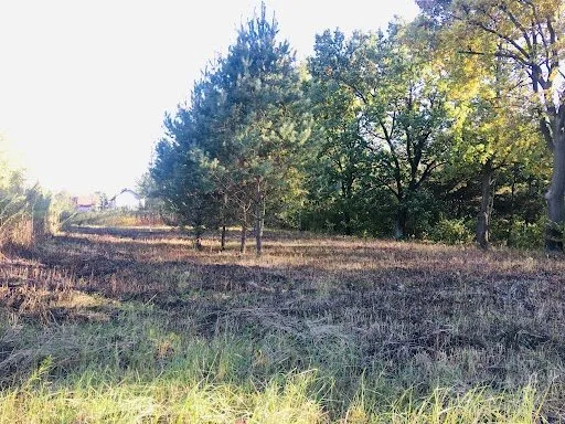 Zdjęcie 6