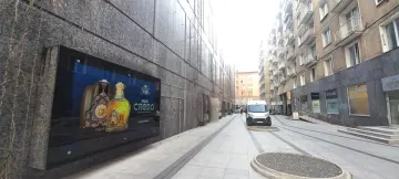 Zdjęcie 15