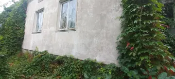 Zdjęcie 1