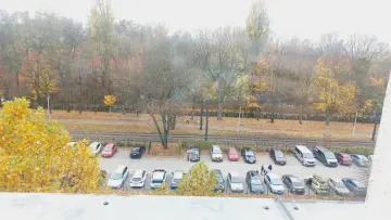 Zdjęcie 11
