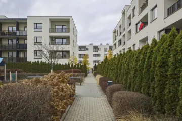 Zdjęcie 18