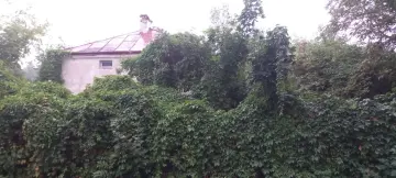 Zdjęcie 5