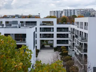 Zdjęcie 17